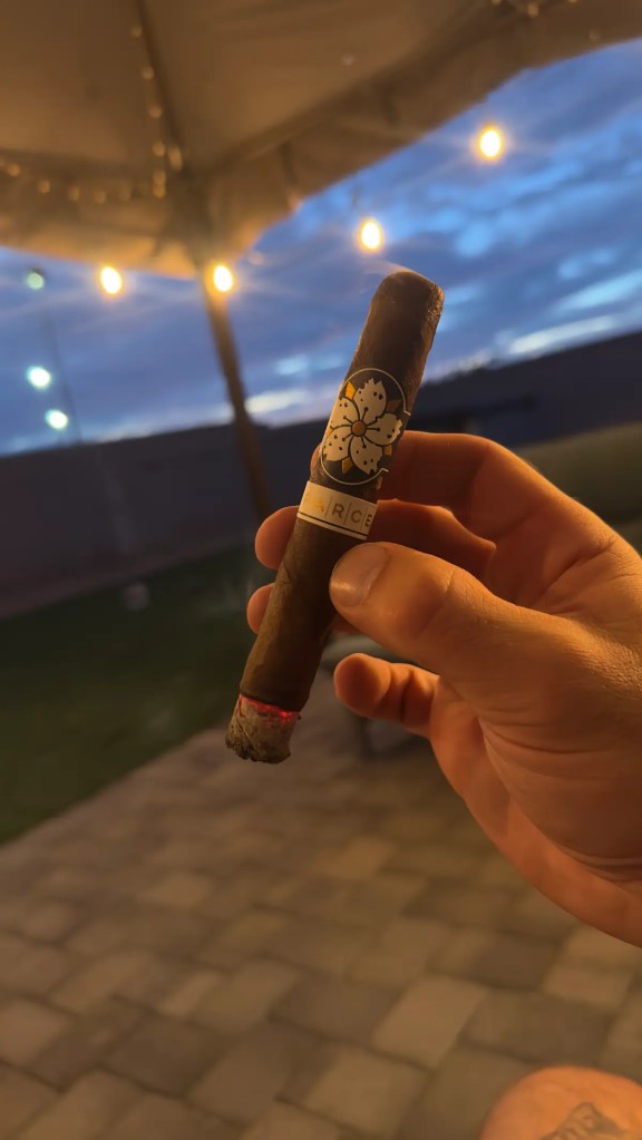 Room101 FARCE maduro first light