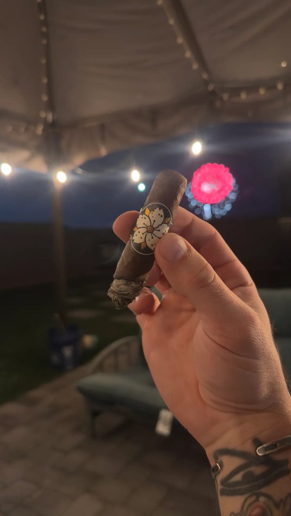 Room101 FARCE maduro middle stretch